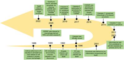 Pyroptosis: A new insight of non-small-cell lung cancer treatment